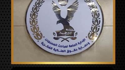 مباحث المصنفات:ضبط 158قضية خلال حملة مكبرة بالاسكندرية