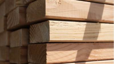 نقص حاد بسوق الأخشاب يقود أسعارها إلى الارتفاع 60% في شهر