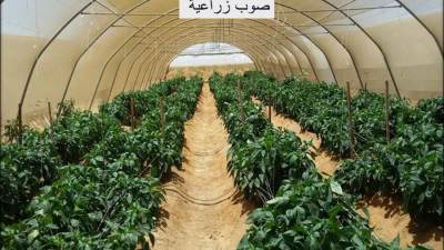 وزير الإسكان: " 18.5 مليار جنيه مشروعات نفذها المركزي للتعمير لتنمية سيناء 