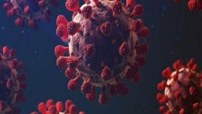 "الصحة العالمية" تكشف حقيقة دخول كورونا الهندي مصر