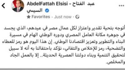 الرئيس السيسي: لا سبيل لتحقيق التنمية وبناء دولتنا العصرية إلا بالعمل الجاد