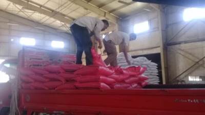 الزراعة تتابع استلام تقاوى خام المحاصيل الشتوية في 14 محطة على مستوى الجمهورية 