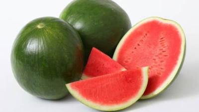  نقيب الفلاحين: البطيخ آمن والحديث عن سرطنته شائعات لا أساس لها من الصحة 