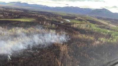 حرائق الزومبي تشتعل في القطب الشمالي 