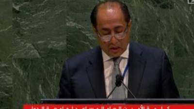 حسام زكى أمام الأمم المتحدة: آن الأوان ليرفض الضمير العالمى انتهاكات إسرائيل