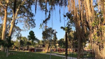 وزارة الرى تواصل تطوير الحدائق التابعة لها بالقناطر الخيرية 