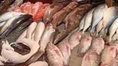أسعار السمك اليوم الأحد 23 - 5 - 2021