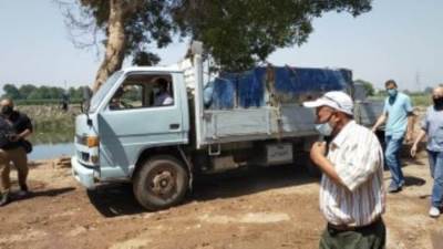 إلقاء مليون زريعة سمك في قناة طنطا الملاحية