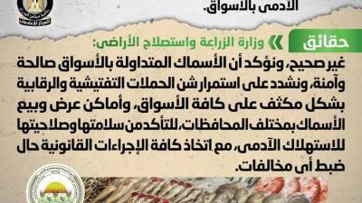 حقائق وشائعات: انتشار أسماك فاسدة وغير صالحة للاستهلاك الآدمي بالأسواق