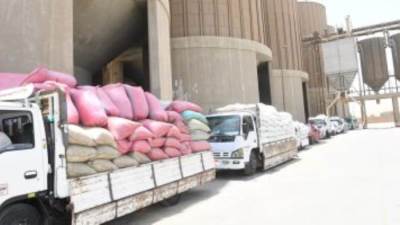 توريد 504 آلاف طن قمح للصوامع بقيمة 2.4 مليار جنيه