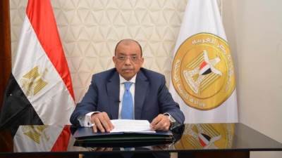 شعراوى : الدولة تسعى لتوفير لحوم صحية وآمنة وبجودة عالية للمواطنين 