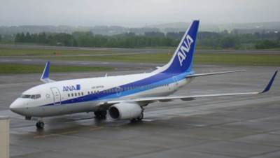 شركة طيران يابانية تنظم حفلات زفاف على متن طائرة منعها الوباء من الطيران