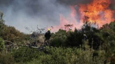 إسرائيل تدفع بفرق الإطفاء لإخماد حرائق متعددة نشبت في جميع انحائها