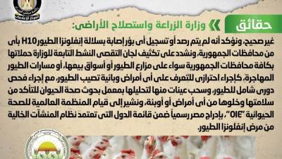 حقائق وشائعات : ظهور بؤر جديدة من فيروس إنفلونزا الطيور H10 في مصر