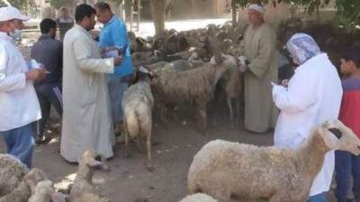 «الزراعة»: إطلاق 110 قافلة بيطرية مجانية خلال 5 أشهر