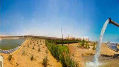 رئيس شركة الريف المصري: غرب المنيا قادرة أن تصبح عاصمة مصر الزراعية