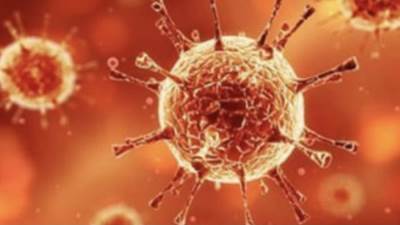 دراسة طبية حديثة تثبت ان الاشخاص النباتيين اقل عرضة للاصابة بكورونا