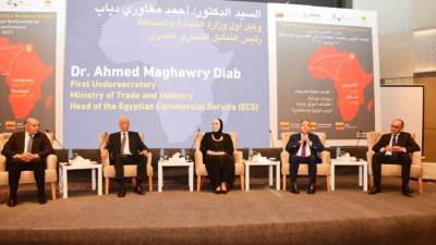 نائب وزير الخارجية للشئون الافريقية:  تفعيل العمل المشترك للتوسع في القارة السمراء ضرورة