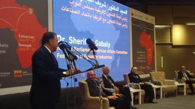 الجبلي: ننسق مع التمثيل التجاري بوزارة التجارة والصناعة لتوسيع الاستثمار في غرب افريقيا