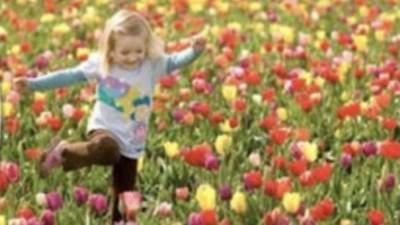 لا يفوتك فصل الصيف الحقيقي لم يبدا بعد و4 ايام تفصلنا عن انتهاء الربيع