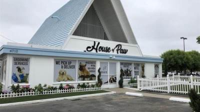 علا غانم افتح اوتيل للكلاب يحصلون فيه علي ماسكات للبشره وجلسات استرخاء