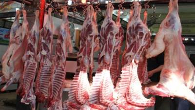 مجازر الجيزة بالمجان للمواطنين طوال أيام عيد الاضحي.. تعرف على أماكنها