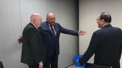 وزير الخارجية يؤكد علي ضرورة اضطلاع مجلس الأمن بمسئولياتة تجاه قضية سد النهضة