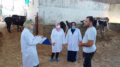 الزراعة تنفذ 90 زيارة ميدانية لأسواق المواشي والقرى للاطمئنان على الحيوانات قبل عيد الأضحى