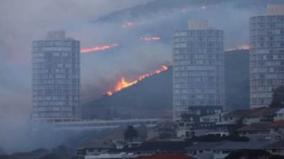 عاجل: استشهاد اكثر من 36 شهيداً بحادث حريق مستشفى كورونا بالعراق