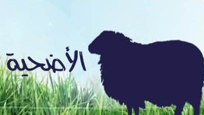 اجازت دار الافتاء الأشتراك في الأضحية بشرطين..تعرف عليهم