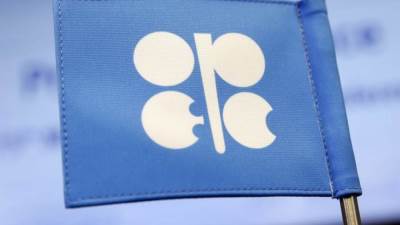 عاجل وزير الطاقة الإماراتي: المناقشات مع "أوبك+" مستمرة ولم يتم التوصل لاتفاق