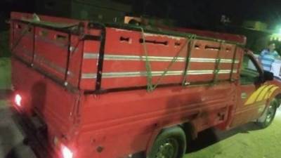 قبل عيد الأضحي ظبط سيارة محملة ب20 حمار في طريقها لمصنع لحوم بالفيوم