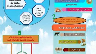 بالانفوجراف تعرف علي الخطه ..كيف استعدت وزارة الزراعة  لاستقبال عيد الاضحي