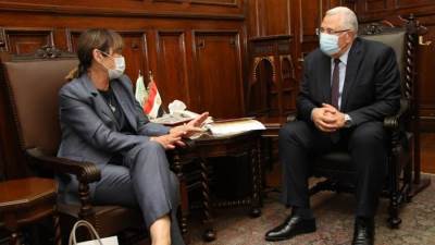 وزير الزراعة يستقبل ايلينا بانوفا الممثل المقيم للأمم المتحدة في مصر 