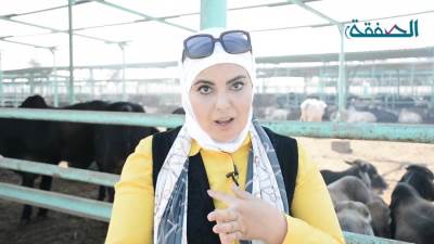 "كل لحمة الدبيحة تاني يوم مش أول يوم".. وصفات نجلاء الشرشابي في عيد الأضحى