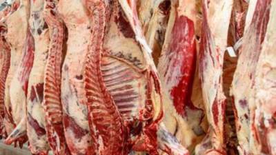 "كلنا واحد" طرح لحوم وأغذية بأسعار مخفضة