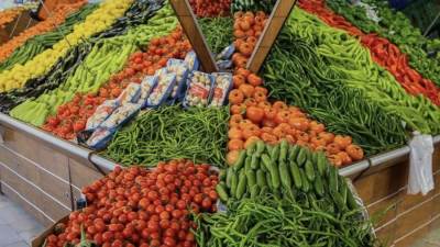 المركزي للمبيدات: تحليل 130 ألف عينة من ملوثات الأغذية خلال 6 أشهر