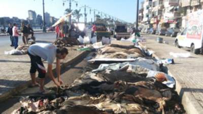 إزاى تدبغ جلود الأضاحي فى البيت؟.. شعبة أصحاب المدابغ بالغرفة التجارية تجيب