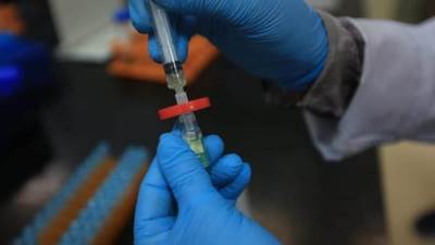 الزراعة :المركزي للمبيدات يواصل استلام عينات الصادرات الزراعية طوال إجازة العيد