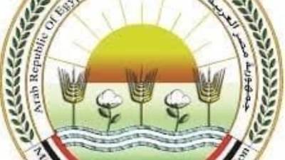 الزراعة : المجازر" تستقبل ٢٠ ألف أضحية خلال أيام العيد الثلاثة