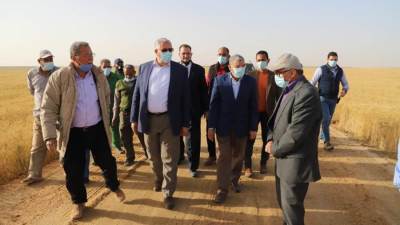 الزراعة :توريد 60 ألف طن لمصانع السكرمن حصاد البنجر في مشروع غرب المنيا