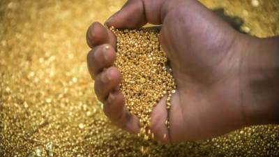 صندوق كوارديغا إغنيو يتوقع ارتفاع سعر الذهب الي اكثر من 3000دولار للأونصة