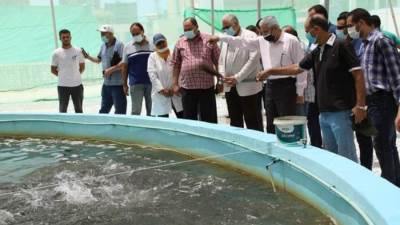 وزير الزراعة يتفقد أعمال التطوير بالمفرخ السمكي بالاسكندرية 