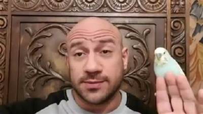 احمد مكي يبكي عصفوره "خورشيد" بعد رحيله