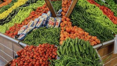 نقابة الفلاحين :تتوقع بوصول صادرات مصر الزراعية إلى 6 ملايين طن