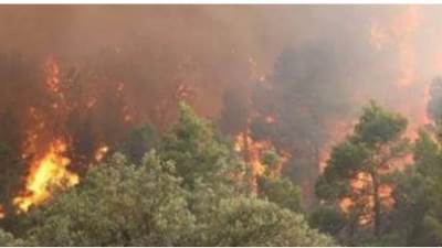 استشهاد 25 عسكريا فى حرائق بولايتى تيزى وزو وبجاية بالجزائر 