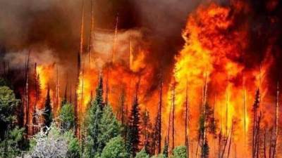 الجزائر تحترق.. خسائر بشرية وكوارث اقتصادية سببها مخربون