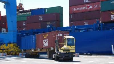 الصين تستورد حاصلات زراعية بقيمة 53 مليون دولار من مصر 