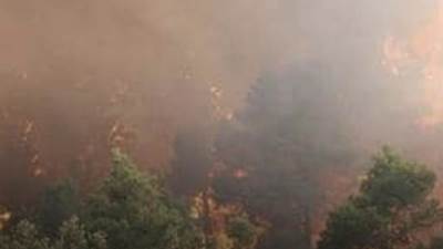 عاجل: الجزائر تعلن ارتفاع حصيلة ضحايا حرائق الغابات لـ 65 قتيلا