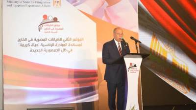 رئيس لجنة الأمن القومي بـ"الشيوخ": الجاليات المصرية بالخارج هي خط الدفاع الأول